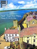 St David's Day - A Thousand Year Old View (courtesy of Patric Davidson)