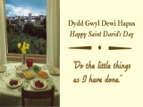 St David's Day - Do The Little Things