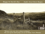 Happy St David's Day - Everyone Should Sit Here (courtesy of Patric Davidson)