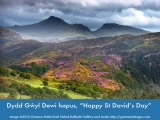 Happy St David's Day - The Moelwyn's (Courtesy of Graeme Pettit)
