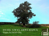 Happy St David's Day - Untouchable Usk (courtesy of Patric Davidson)